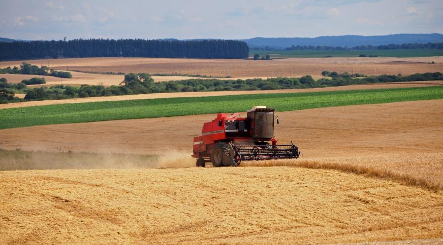 Crise en Ukraine : certaines clauses dans la chaîne agricole et alimentaire 